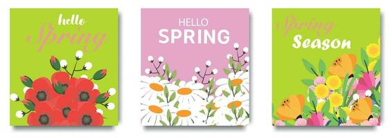 Hallo voorjaar reeks van sociaal media verhaal ontwerp Sjablonen. voorjaar vakantie poster set. vector ontwerp van voorjaar elementen voor groet kaart, omslag, sociaal media post