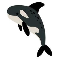 schattig hand- getrokken moordenaar walvis. vector