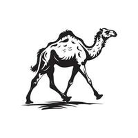 kameel beeld vector