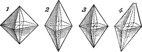 octaëder, wijnoogst gegraveerde illustratie vector