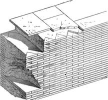 Romeins metselwerk, wijnoogst gravure vector