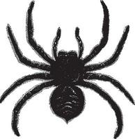 tarantula, wijnoogst illustratie. vector