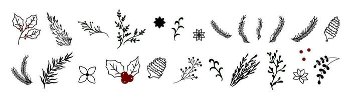 hand- trek Kerstmis fabriek ornamenten blad, bloem, takken set. tekening hulst bloemen zwart en wit vector