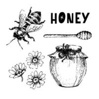 vector honing instellen. vintage hand getekende illustratie. gegraveerd biologisch voedsel