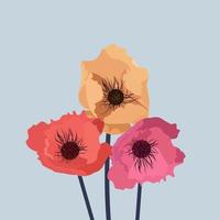 eenvoudige bloem klaproos vectorillustratie vector