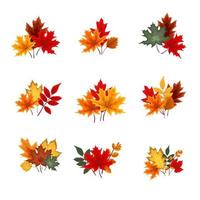 herfst vallende bladeren collectie pictogramserie geïsoleerd op een witte achtergrond. vector illustratie