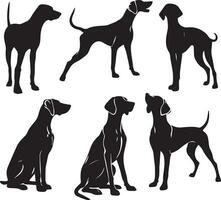 silhouet solide vector icoon reeks van hond, rassen, hond, hond, hond, pup, straathond, huisdier, hondje