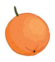 oranje fruit clip art. citrus exotisch fruit tekening geïsoleerd Aan wit. gekleurde vector illustratie in tekenfilm stijl.