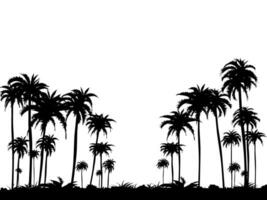 vector silhouetten van kokosnoot bomen geïsoleerd Aan transparant achtergrond