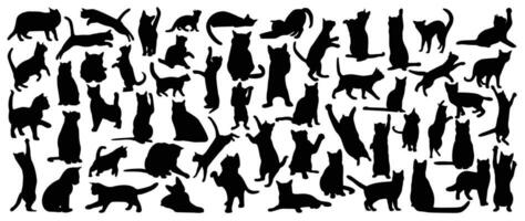 reeks van katten silhouet vector. katten en katje verschillend ras, poseert, zitten, staan, springen, slaap, spelen, wandelen. hand- getrokken huisdier dieren voor huisdier winkel, logo ontwerp, decoratief, sticker. vector