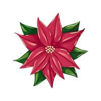 kerstster bloem vector illustratie, helder rood Kerstmis bloem met bladeren geïsoleerd Aan wit achtergrond. decoratief gedetailleerd element voor vakantie patronen, kransen, lijsten, verpakking, ontwerp