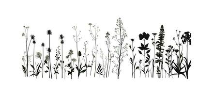 voorjaar van zomer bloemen reeks silhouet. vector illustratie ontwerp.