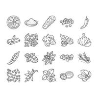 kruid voedsel kruid blad pictogrammen reeks vector