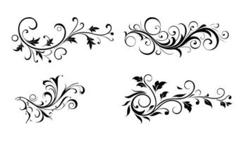decoratief floreren elegant schoonschrift reeks met grafisch versiering vector