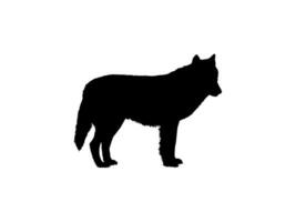 wolf silhouet voor logo type, kunst illustratie, pictogram, website, apps of grafisch ontwerp element. vector illustratie