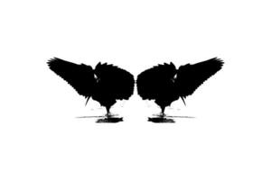 paar- van de zwart reiger vogel, egretta ardesica, ook bekend net zo de zwart zilverreiger silhouet voor kunst illustratie, logo, pictogram, website, of grafisch ontwerp element. vector illustratie