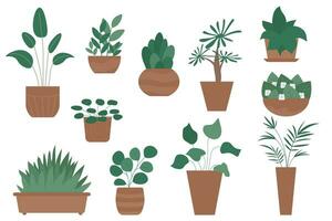 reeks van binnen- planten in potten. tekenfilm binnen- decoratief planten in vlak stijl voor huis en kantoor. illustratie geïsoleerd vector