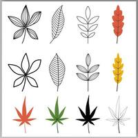 reeks van botanisch lijn kunst bloemen bladeren planten hand- getrokken schetsen takken geïsoleerd Aan wit vector