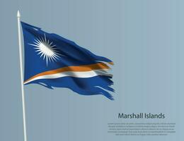 haveloos nationaal vlag van maarschalk eilanden. golvend gescheurd kleding stof Aan blauw achtergrond. vector