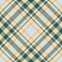 plaid patroon vector. controleren kleding stof textuur. naadloos textiel ontwerp voor kleren, papier afdrukken. vector