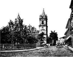 Panama kathedraal, wijnoogst illustratie. vector