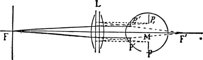 optisch positie en grootte van beeld door lens in voorkant van oog wijnoogst illustratie. vector