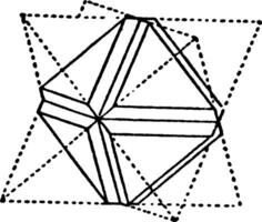 octaëder met voor kant, wijnoogst illustratie. vector