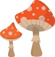 vector clip art van vlieg agaric paddestoel geïsoleerd Aan wit achtergrond