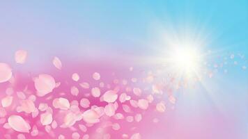 vector achtergrond met realistisch sakura bloemblaadjes en zon stralen in lucht. sjabloon van vliegend omvangrijk wazig roze kers bloesem bloemblad met vervagen effect. voorjaar bloemen romantisch illustratie.