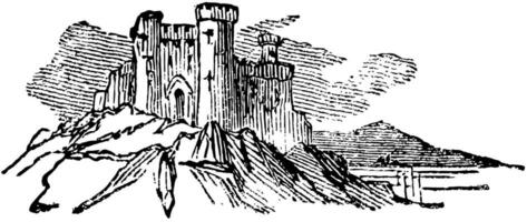 kasteel wijnoogst illustratie. vector