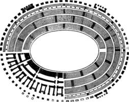 grond plan van de colosseum, vertegenwoordiging van de tiers van stoelen, wijnoogst gravure. vector