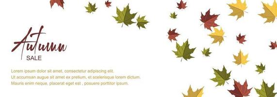 herfst horizontaal ontwerp met kleurrijke vallende bladeren. plaats voor tekst. vector illustratie
