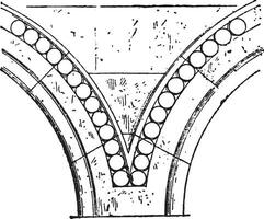 bezant, wijnoogst gravure. vector