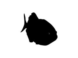 piranha vis silhouet, kan gebruik voor logo gram, website, kunst illustratie, pictogram, icoon of grafisch ontwerp element. vector illustratie