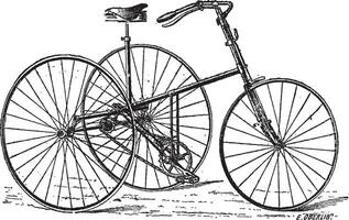 velocipede, driewieler, wijnoogst gravure. vector