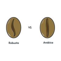 de verschil tussen robusta en arabica koffie bonen vector