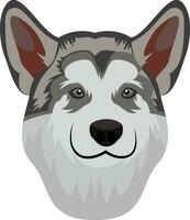 Alaska malamute illustratie vector Aan wit achtergrond