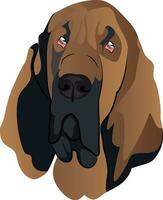 bloed hond illustratie vector Aan wit achtergrond