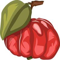 vector illustratie van diep rood Suriname kers fruit met een groen blad wit achtergrond.