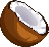 bruin kokosnoot besnoeiing in voor de helft tekenfilm fruit vector illustratie Aan wit achtergrond.
