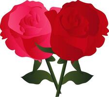 vector illustratie van roze en rood rozen met groen doorbladert Aan wit achtergrond.