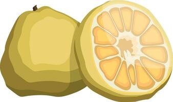 vector illustratie van geel lelijk fruit voor de helft een fruit geel met zaden wit achtergrond.