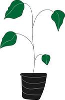 kamerplant met groot groen bladeren illustratie kleur vector Aan wit achtergrond