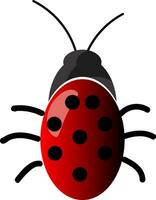 een mooi insect met rood en zwart polka punt ontwerp in terug vector kleur tekening of illustratie