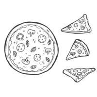schets pizza plakjes, geheel pizza. vector gemakkelijk tekening stijl schetsen