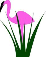 flamingo vogel staand achter de struik vector of kleur illustratie