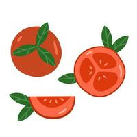 reeks van verschillend tomaten geïsoleerd Aan achtergrond. vector illustratie. geheel, gesneden, kwartaal van een tomaat fruit.