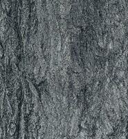 vector illustratie van sakura of prunus serrulata schors detailopname. de structuur van de romp van sakura. achtergrond van leven hout. Woud natuur huid.