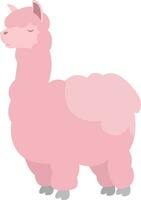 roze lama, illustratie, vector Aan wit achtergrond