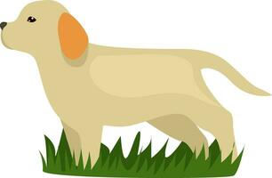 baby labrador, illustratie, vector Aan wit achtergrond